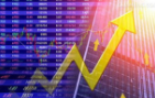 長江證券：重視價值，砥礪前行