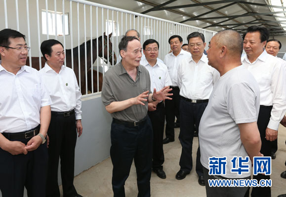 這是7月3日，王岐山在錫林浩特市義合良種馬繁育基地考察。新華社記者 龐興雷 攝