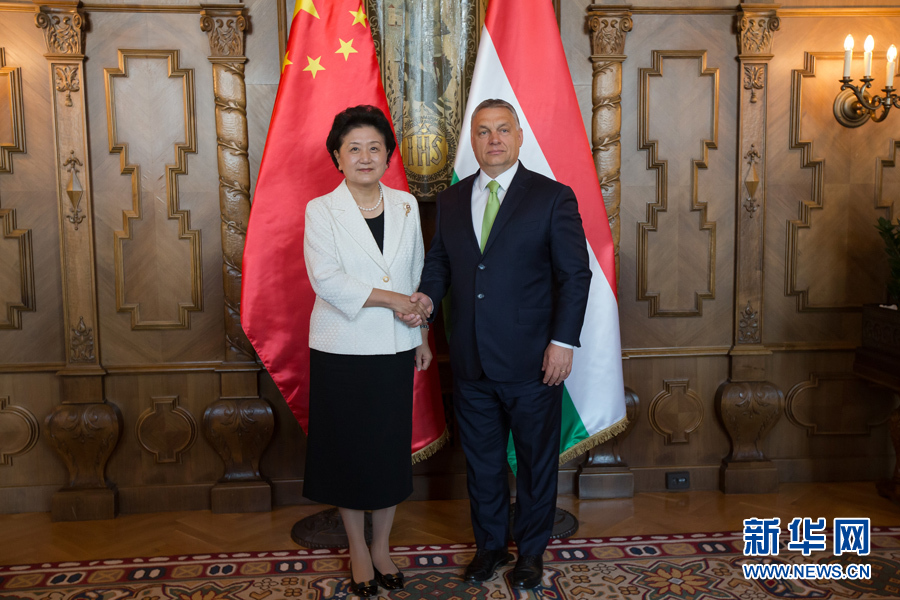  6月21日，國務(wù)院副總理劉延?xùn)|（左）在匈牙利布達佩斯國會大廈會見匈牙利總理歐爾班。 新華社發(fā)（弗爾季·奧蒂洛攝）