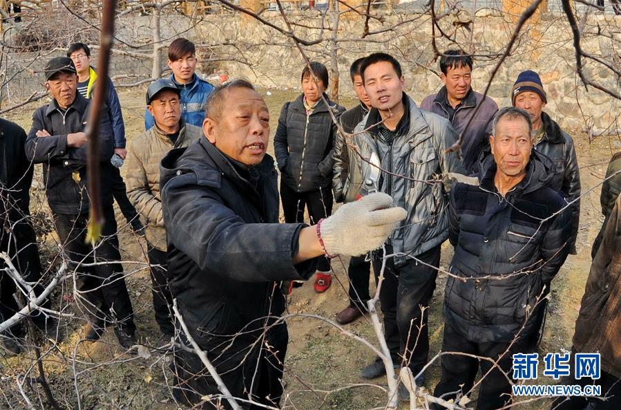 （新華全媒頭條·圖文互動）（8）鍛造領航復興的中流砥柱——寫在“不忘初心、牢記使命”主題教育即將啟動之際