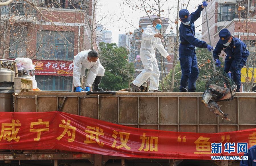 （新華全媒頭條·圖文互動）（12）從人民中汲取磅礴力量——習近平總書記同出席2020年全國兩會人大代表、政協委員共商國是紀實
