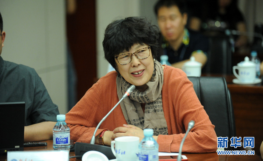 陳小波：新華人對歷史的擔(dān)當(dāng)、情感與良知