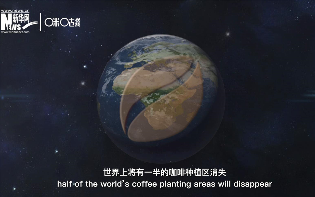 科學家預測到三十年后，世界上將有一半的咖啡種植區消失
