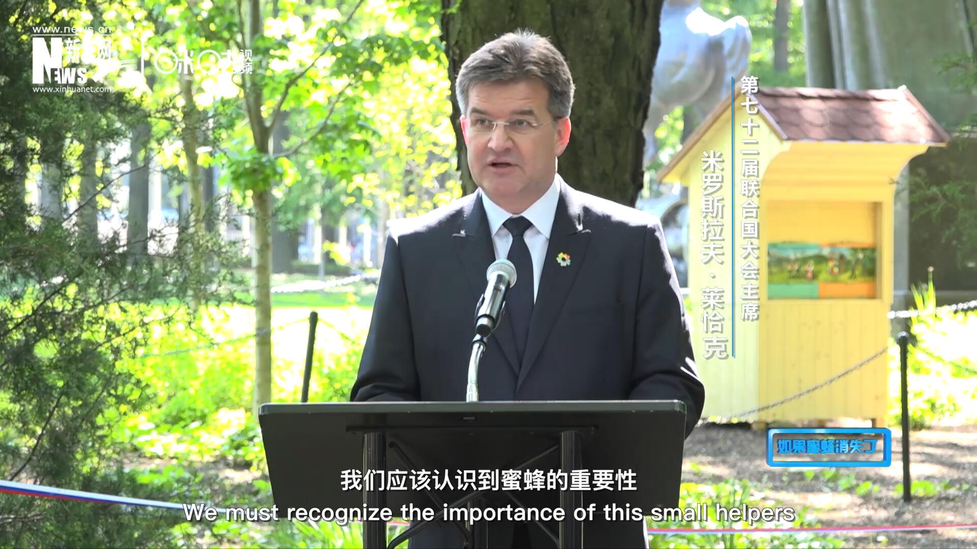 我們應該認識到蜜蜂的重要性，所以我們用“世界蜜蜂日”提高大家保護蜜蜂的意識，并且用實際行動去保護蜜蜂
