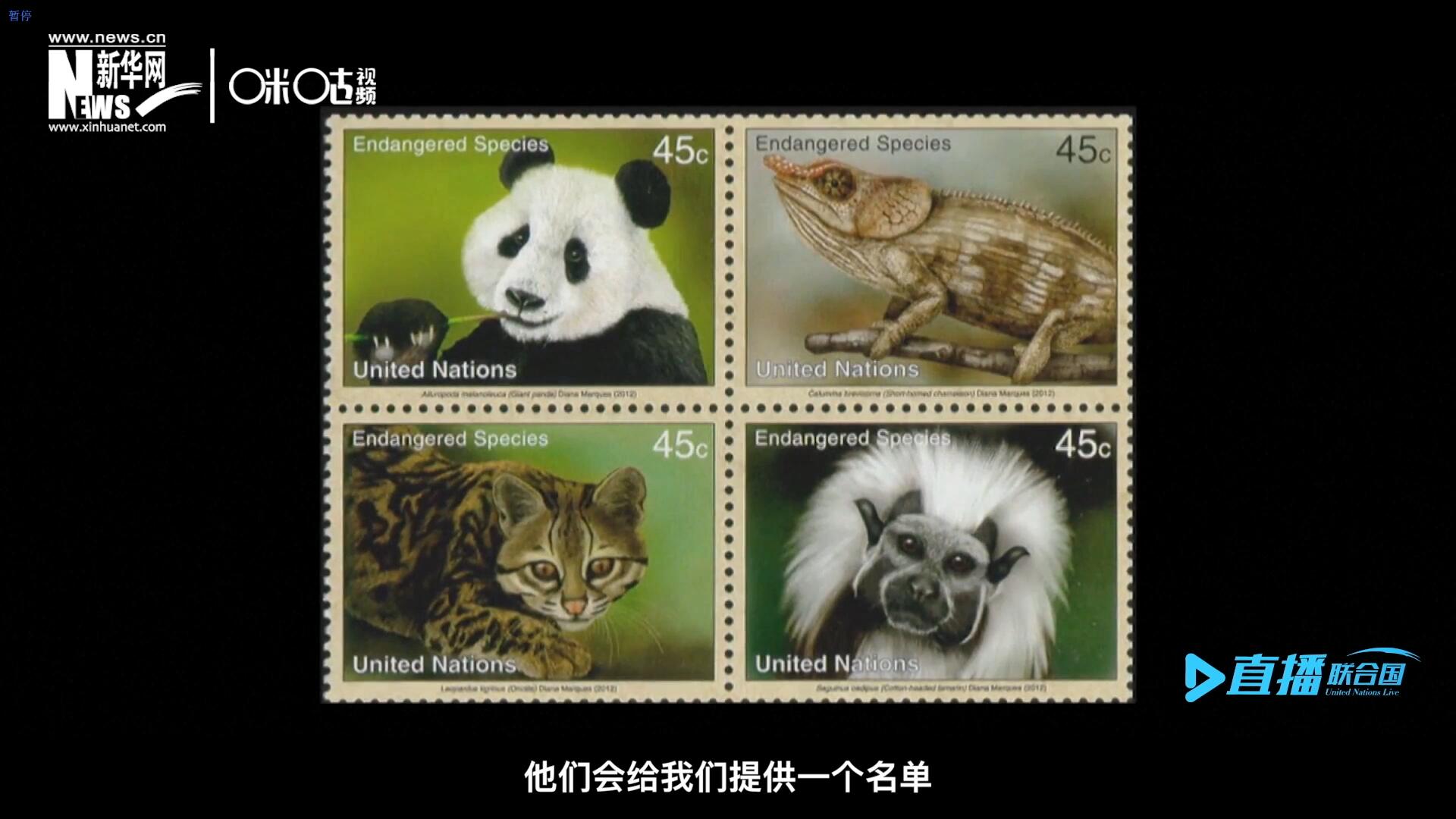CITES（瀕危野生動植物種國際貿(mào)易公約）會給聯(lián)合國郵政設(shè)計師提供一個名單，雙方共同合作在附錄中找到名單中應該受到關(guān)注的動物。