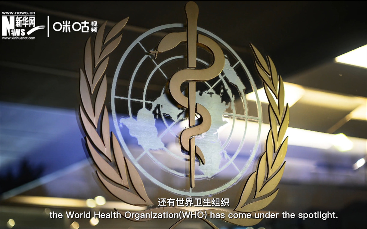 世衛組織在全球公共衛生方面發揮領導和協調作用。