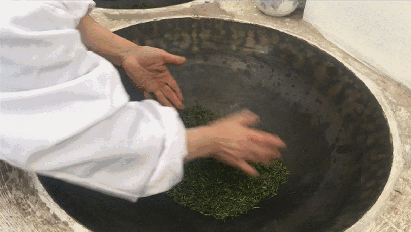 申遺，把雨花茶手藝傳承下去