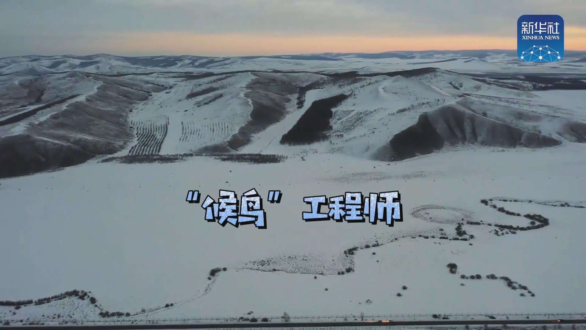 我們在奔跑丨一路向北！他是逆行的“候鳥”