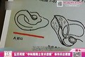 復(fù)旦大學院士學術(shù)造假引關(guān)注
